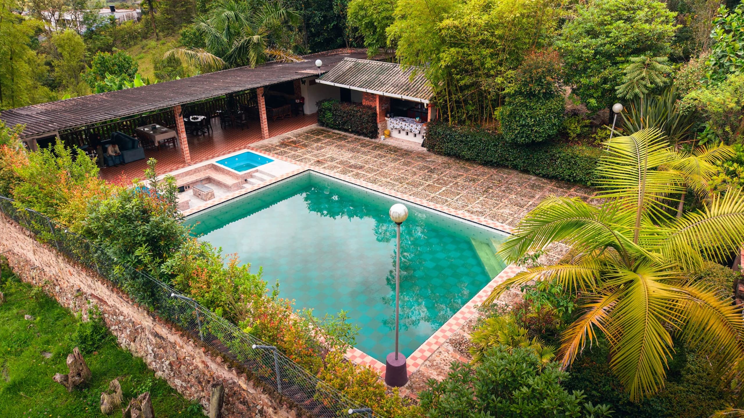 La piscina vista desde arriba, rodeada de palmas y seto