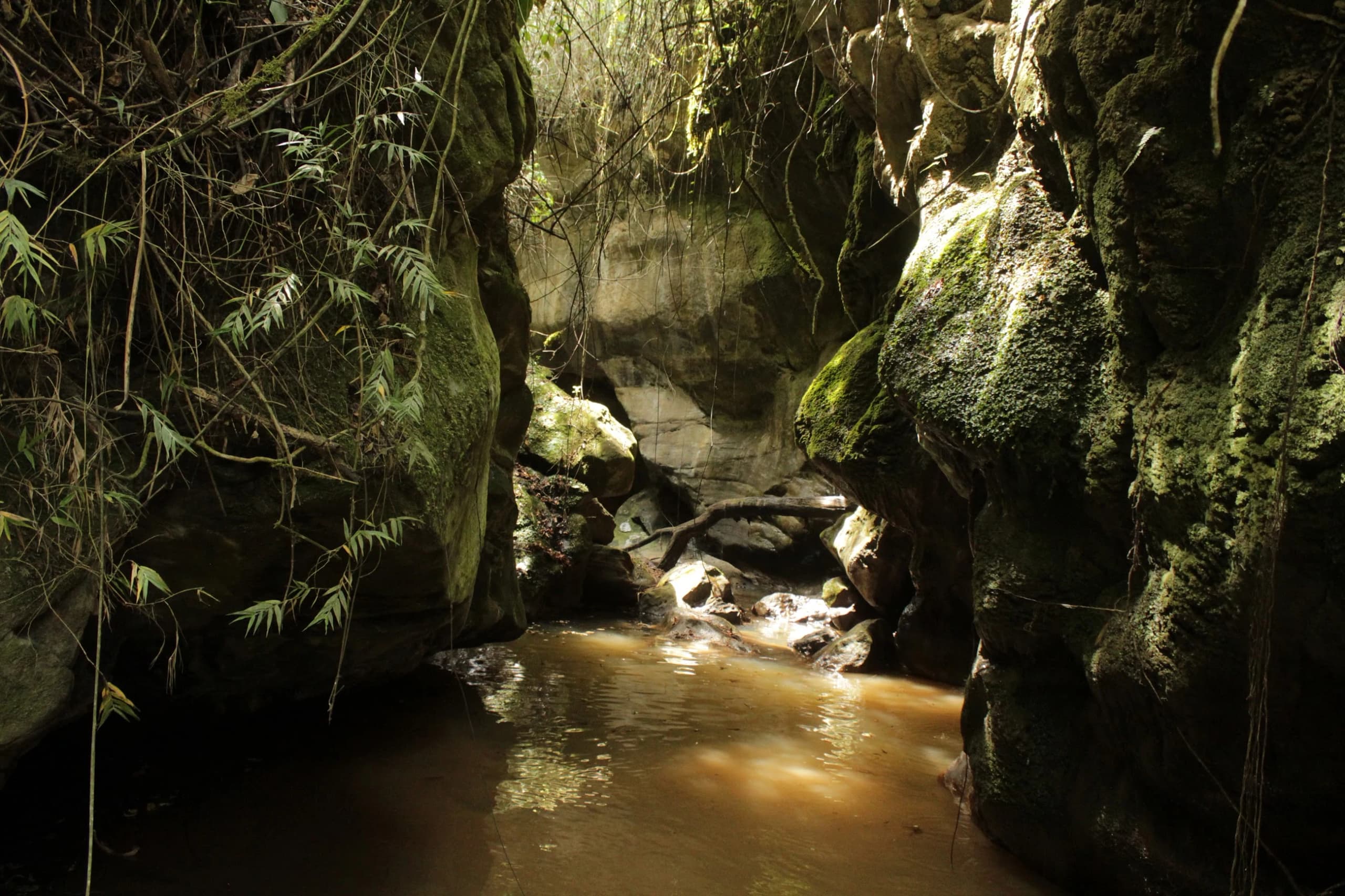 El agua corriendo entre las paredes del cañón